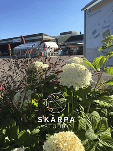 parklik företagsentré, parkmiljö, landskapsplanering, trädgårdsingenjör